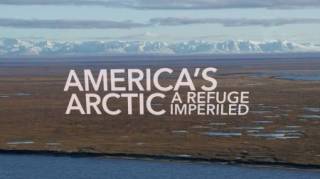 Американская Арктика - заповедные земли под угрозой / America’s Arctic – A Refuge Imperiled (2020)