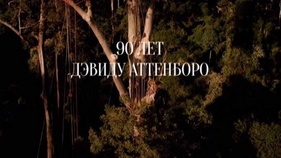 90 лет Дэвиду Аттенборо. По ту сторону экрана (2017)