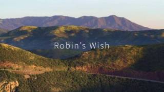 Мечта Робина / Robin's Wish (2020)