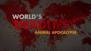 Апокалипсис животных / World's deadliest. Animal Apocalypse (2013)