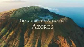 Морские гиганты Азорских островов / Giants of the Atlantic Azores (2016)