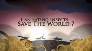 Может ли питание насекомыми спасти мир? / Can Eating Insects Save the World? (2013)