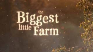 Самая большая маленькая ферма / The Biggest Little Farm (2018)