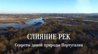 Слияние рек. Секреты дикой природы Португалии / A Meeting of Waters - Secrets of Wild Portugal / 201