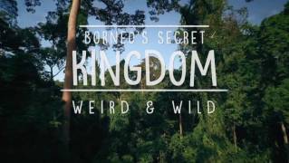 Секретное королевство Борнео: странные и дикие / Borneo's Secret Kingdom: Weird and Wild (2017)