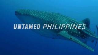 Дикие Филиппины. Скрытые чудеса / Untamed Philippines. Hidden Wonders (2018)