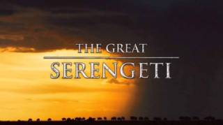 В великом краю Серенгети / The Great Serengeti (2011)